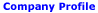 Remote Control Manufacturer Company Profile
